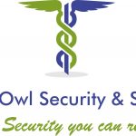 Knight owl security services